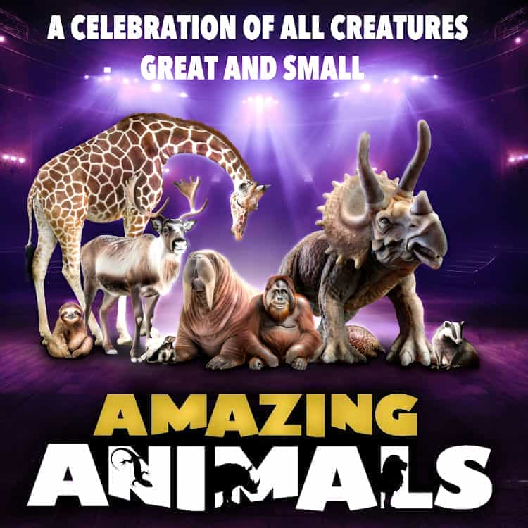 Amazing Animals