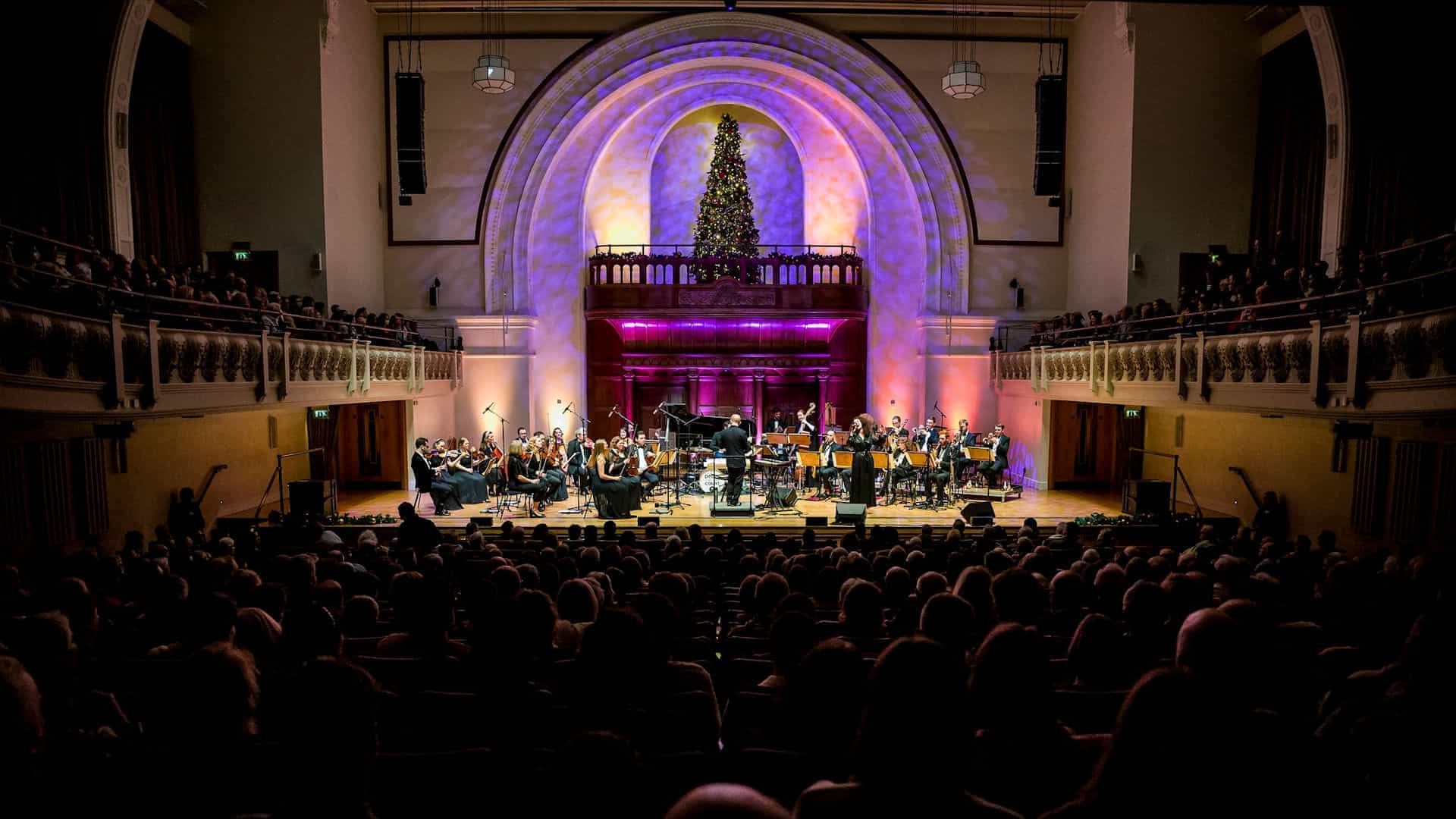 The Down For The Count Swing Orchestra - Swing into Christmas