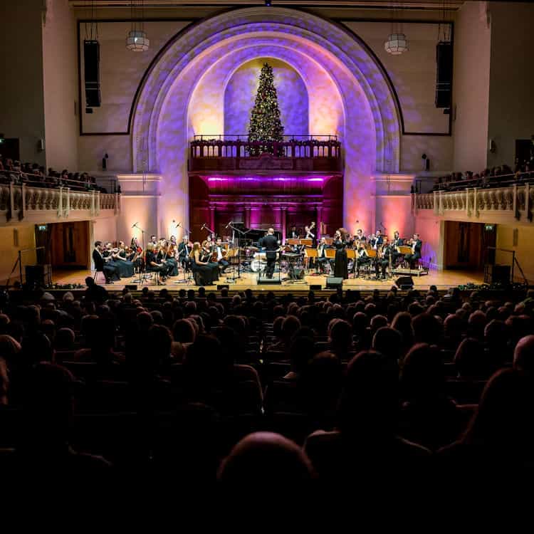 The Down For The Count Swing Orchestra - Swing into Christmas