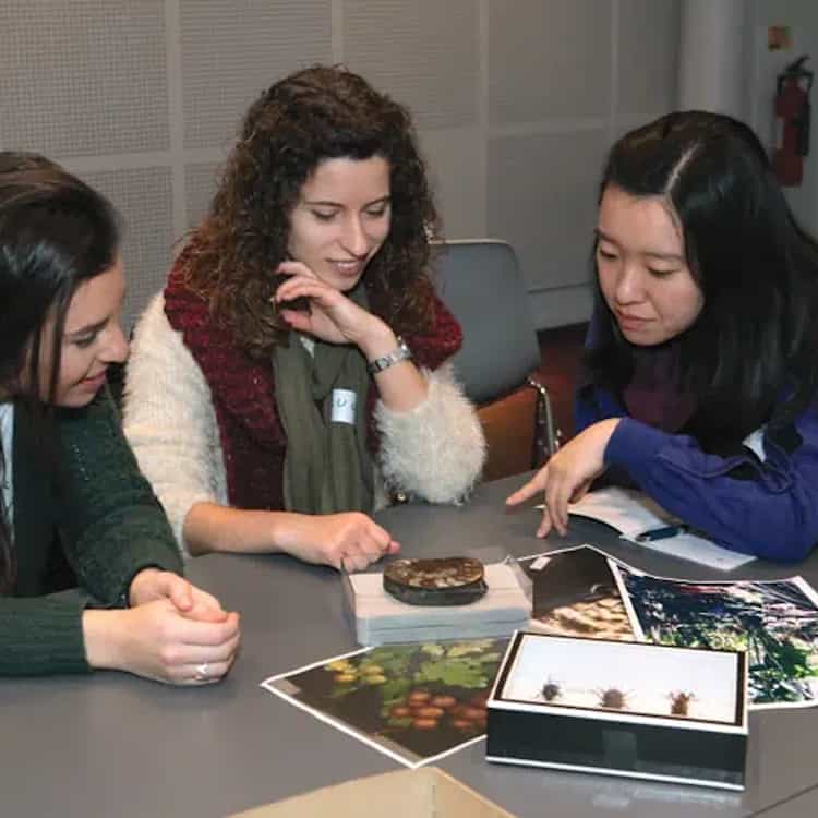 Climate Café