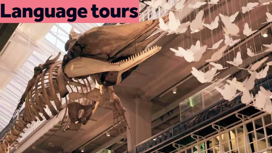 Language Tours