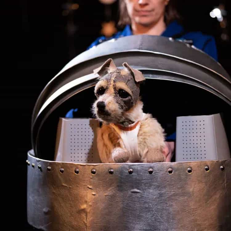 Laika The Space Dog