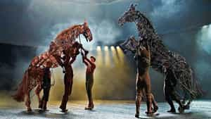 War Horse