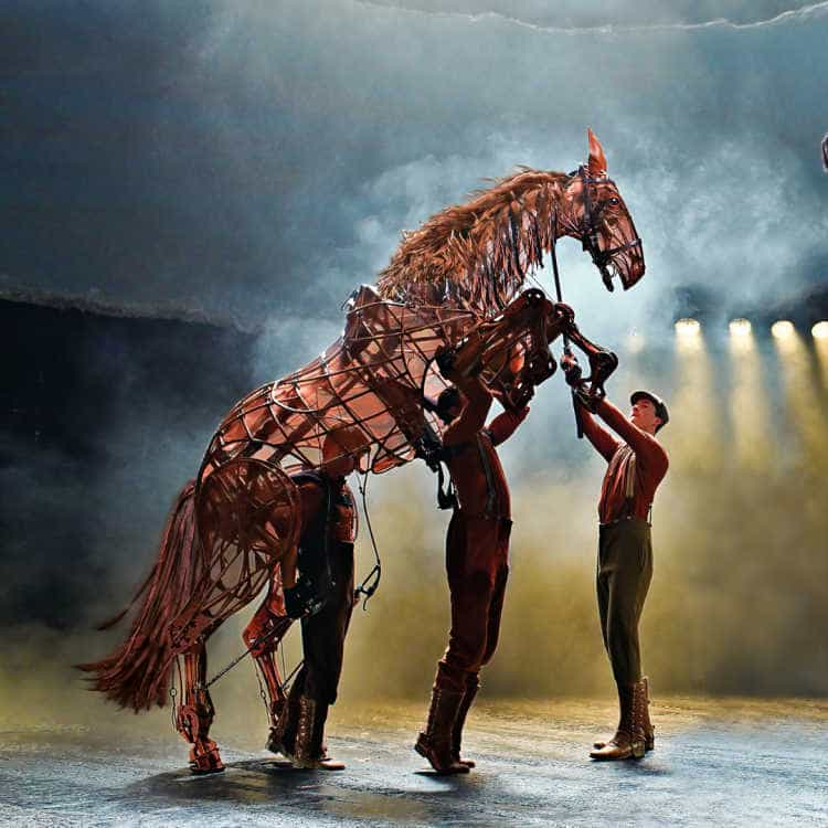 War Horse