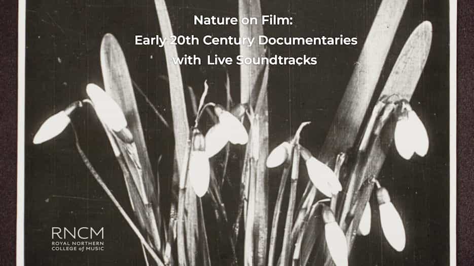 Nature on Film: Early 20th Century Documentaries with Live Soundtracks