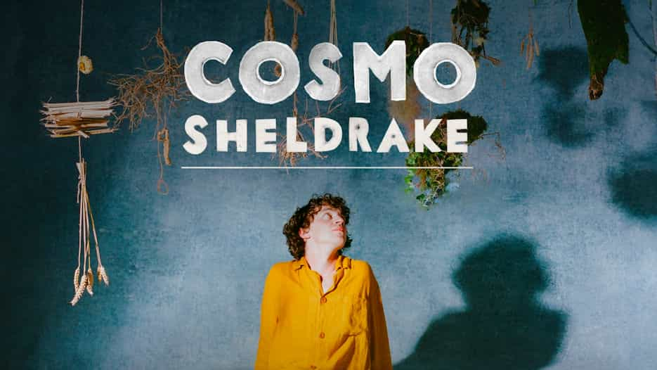 Cosmo Sheldrake