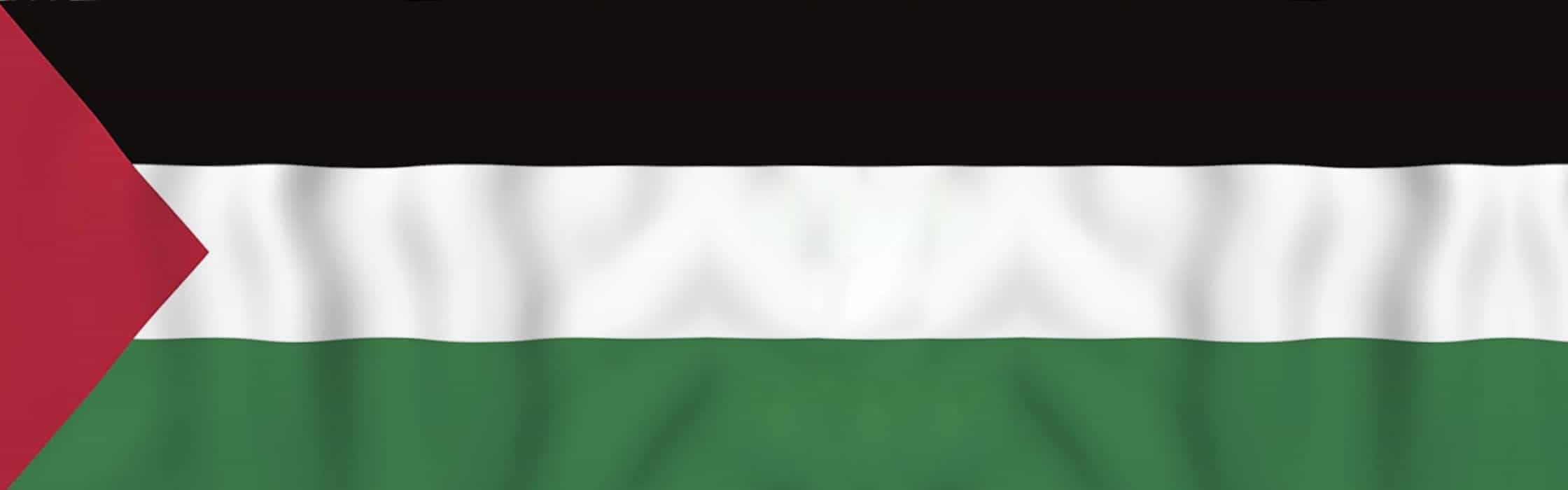 Palestine & Gaza