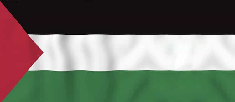 Palestine & Gaza