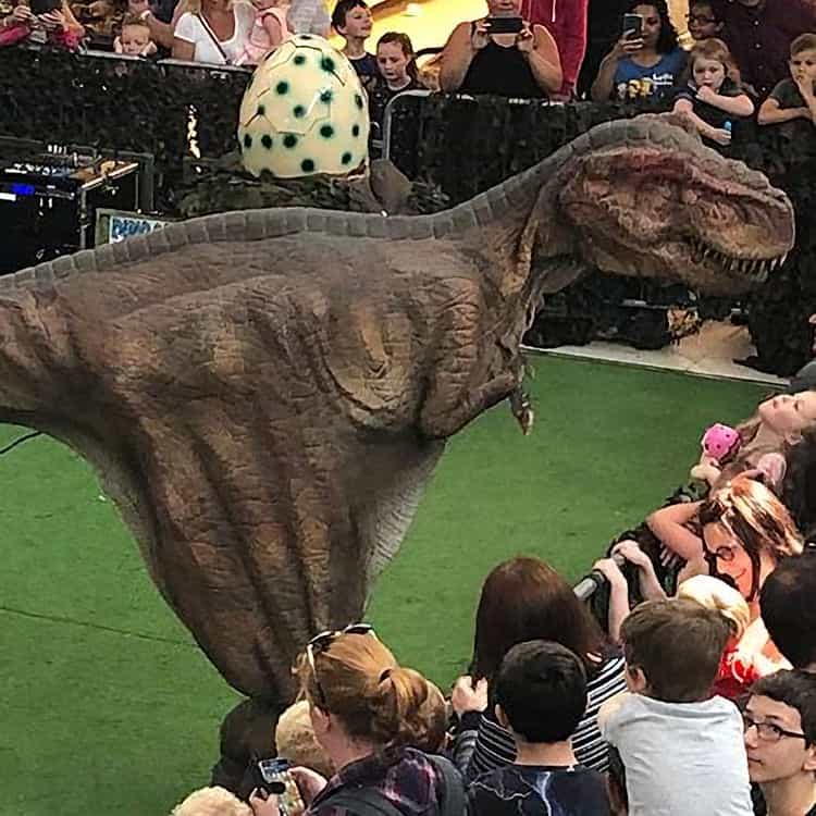 Dinosaur Family Fun Event