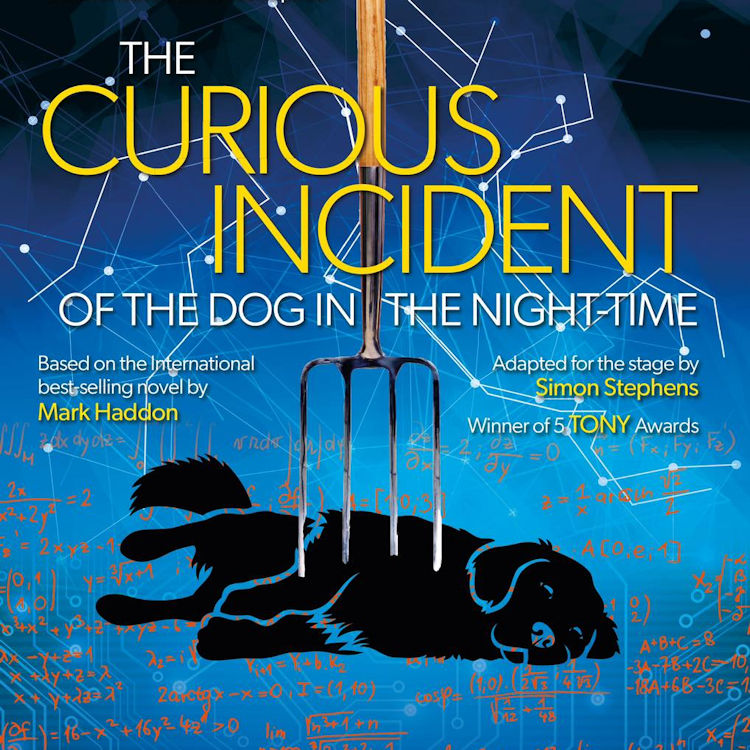 The Curious Incident of the Dog in the Night-Time (Garrick Ensemble Production)