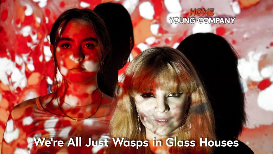 We're All Just Wasps in Glass Houses