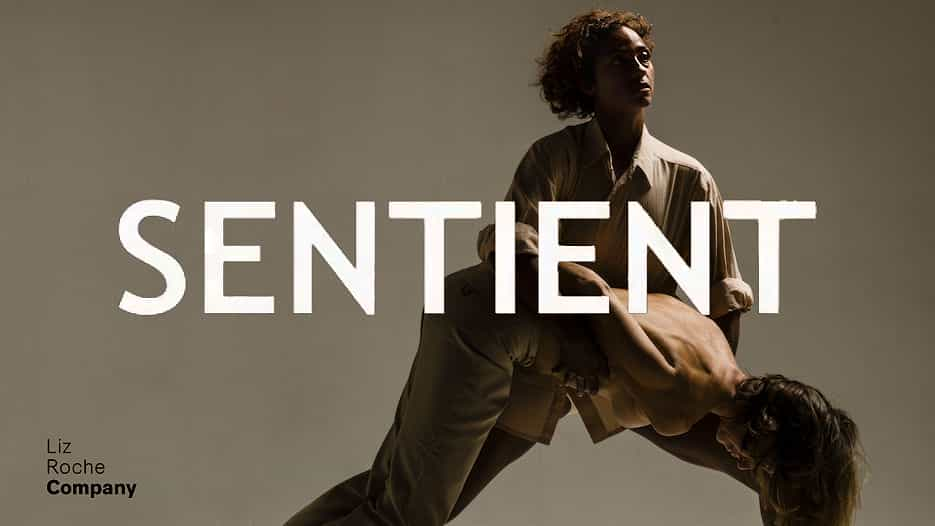 Liz Roche Dance Company - Sentient