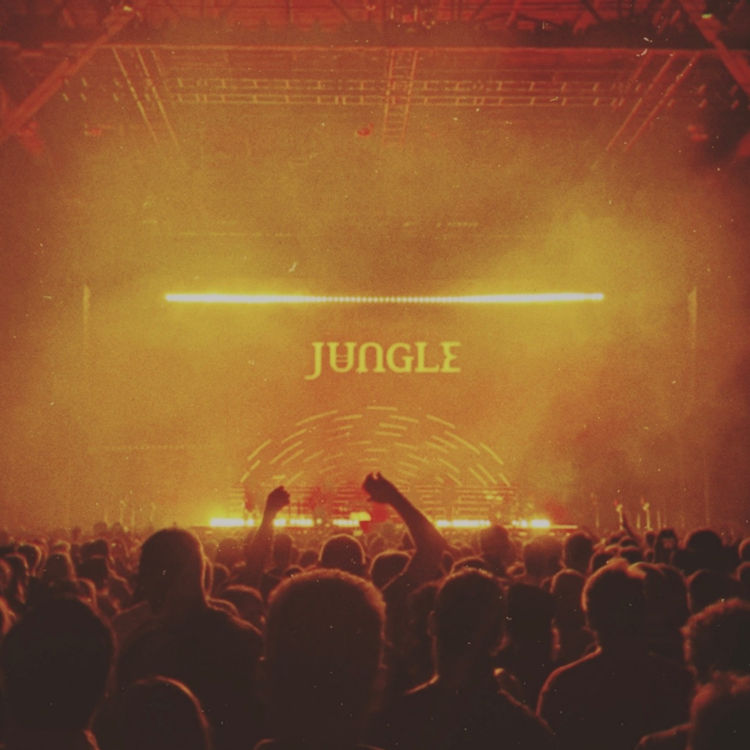 Jungle (DJ Set)