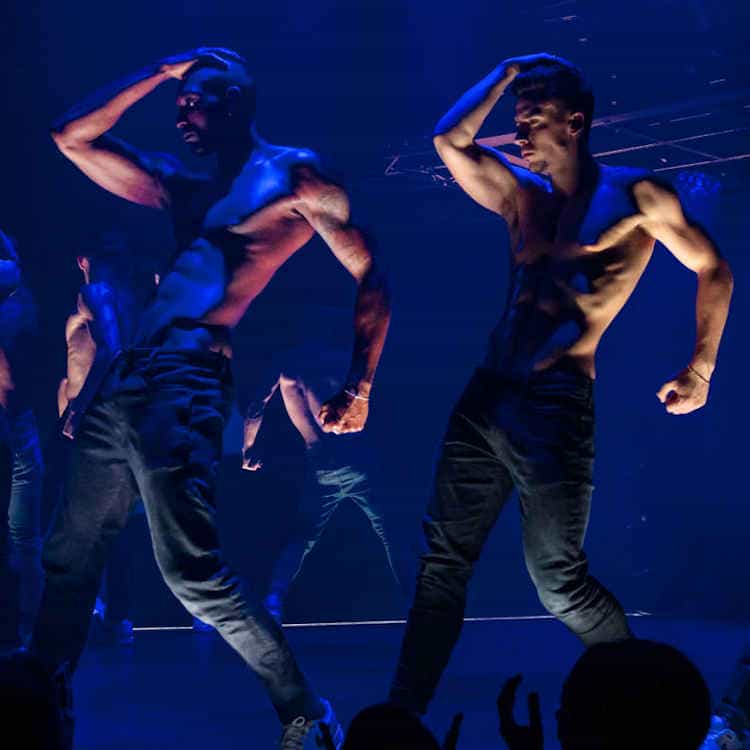 Magic Mike Live