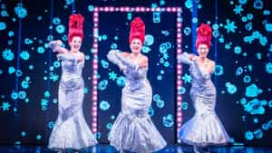 Priscilla The Party