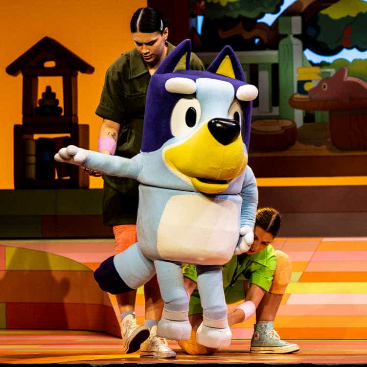 Bluey's Big Play