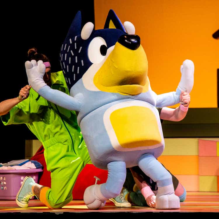 Bluey's Big Play