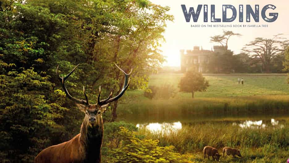 Wilding (PG)