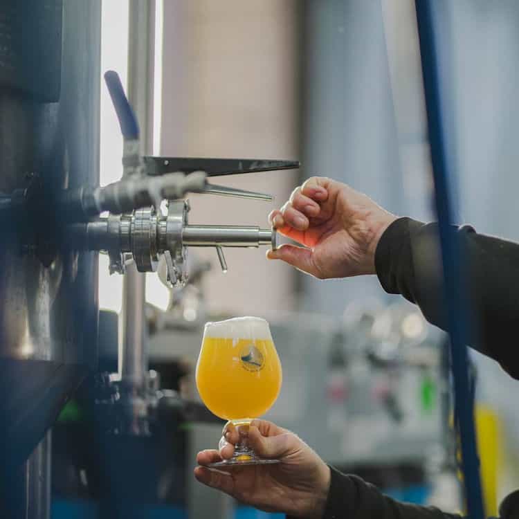 Manchester Craft Beer Festival