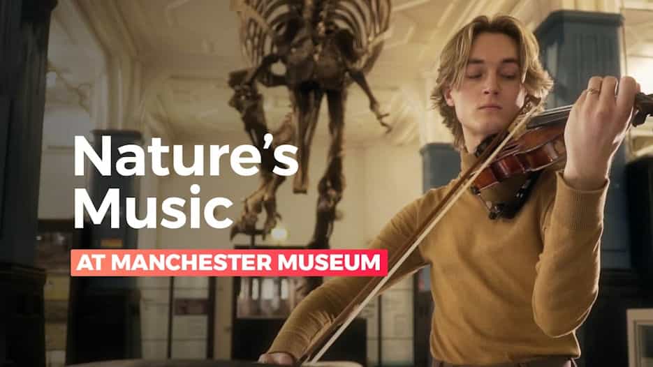 Nature's Music