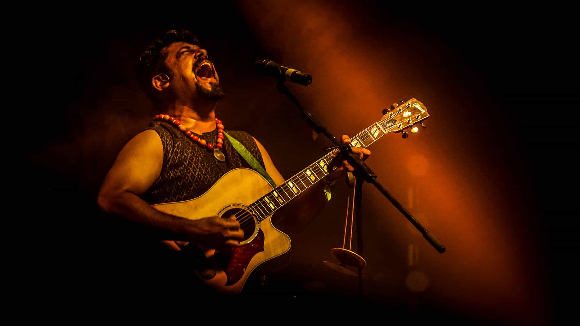 The Raghu Dixit Project