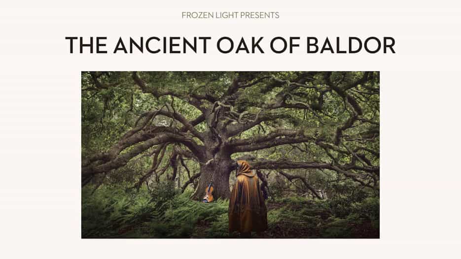 Frozen Light - The Ancient Oak of Baldor