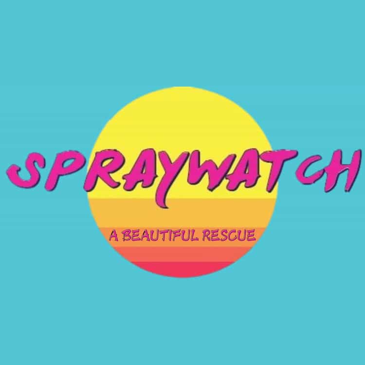 Spraywatch! - A Beautiful Rescue