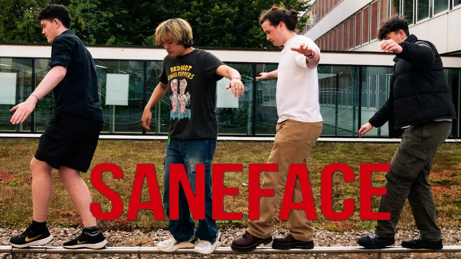Saneface