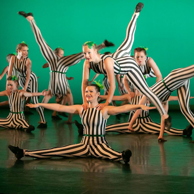 Take a Bow Productions - Let's Take a Bow