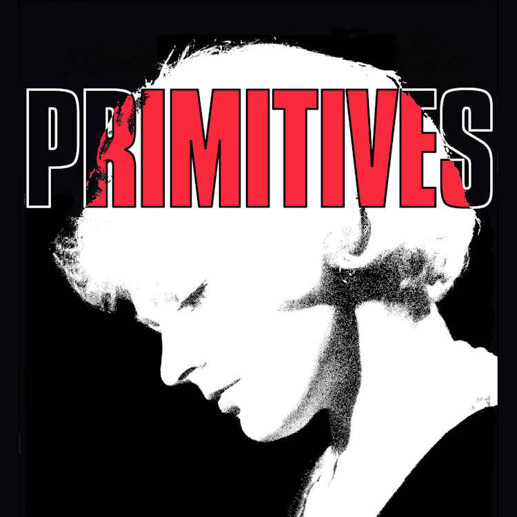 The Primitives