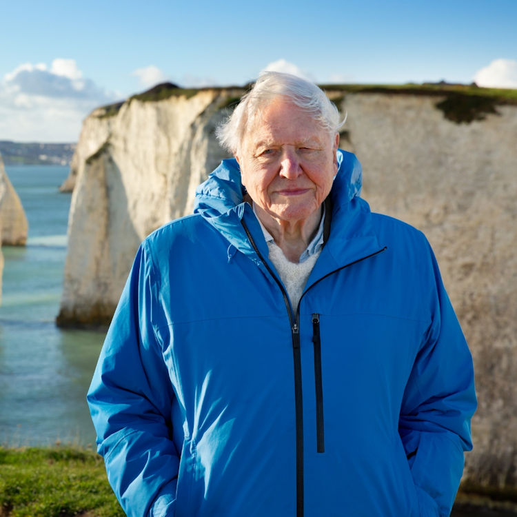 Ocean with David Attenborough (PG)