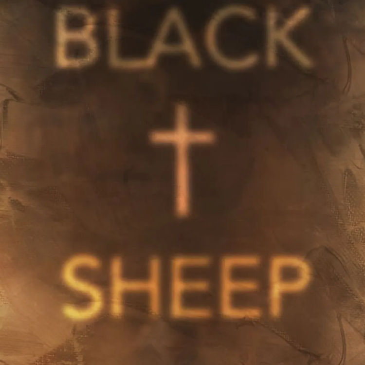 curious directive - Black Sheep