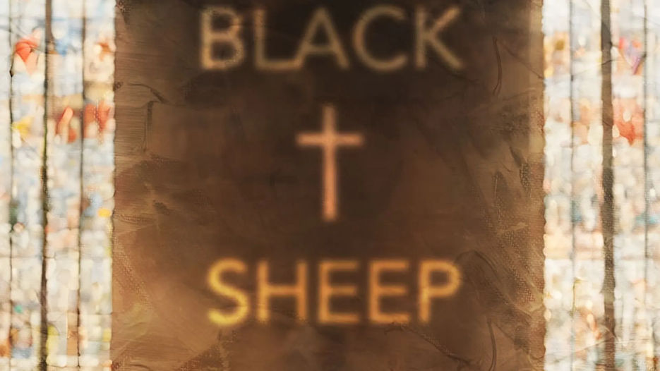 curious directive - Black Sheep