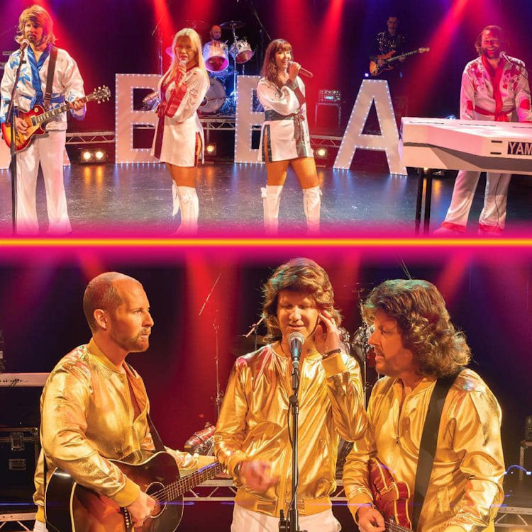 Bee Gees + Abba In Concert Experience