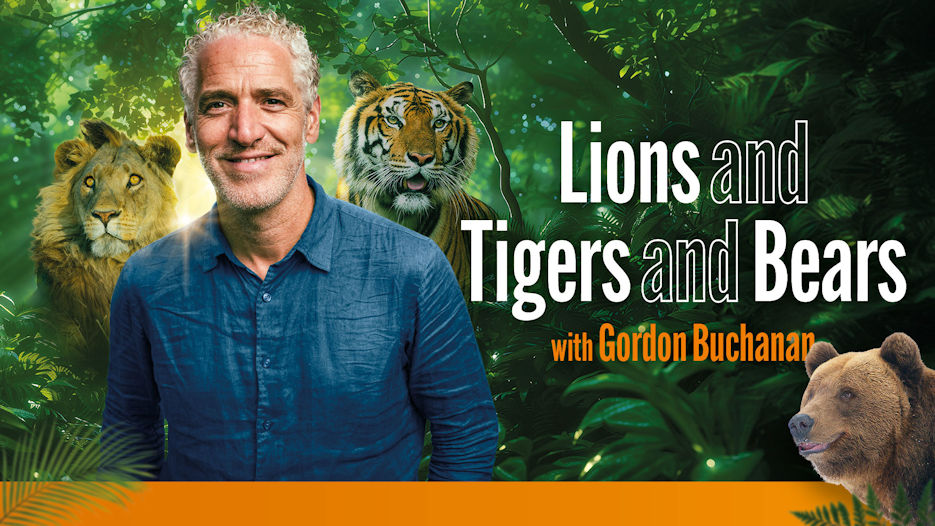 Gordon Buchanan - Lions & Tigers & Bears