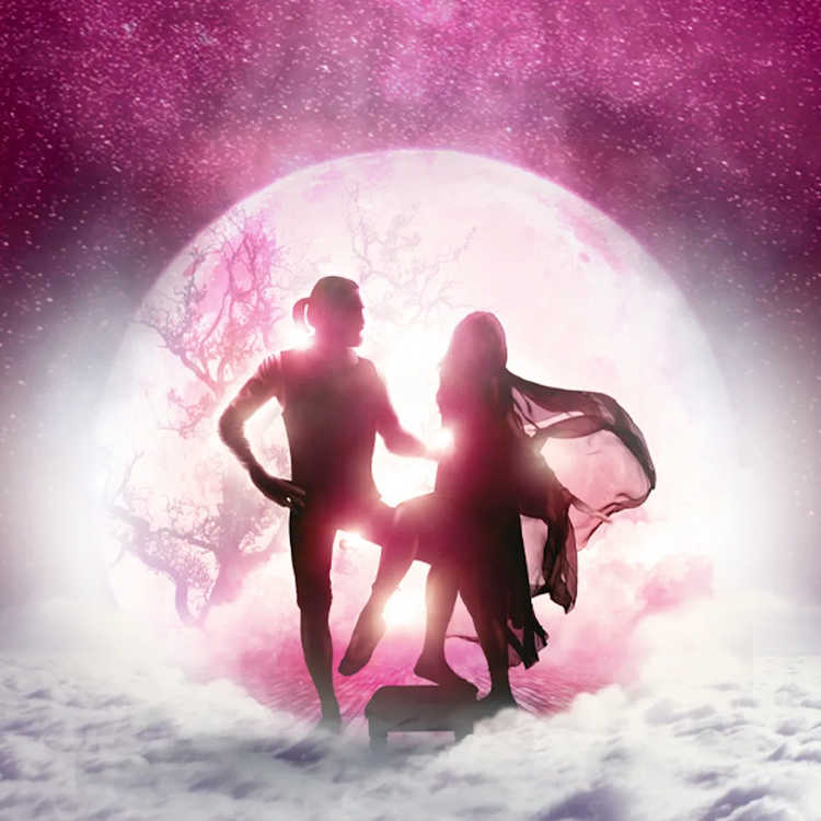 Go Your Own Way - The Fleetwood Mac Legacy