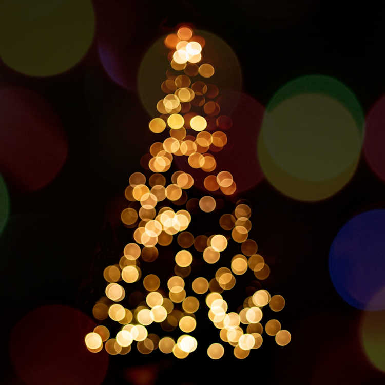 The Hallé - Carol Concerts