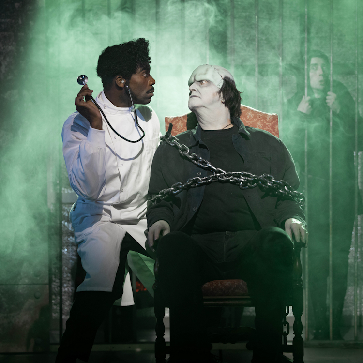 Mel Brooks' Young Frankenstein - The Musical