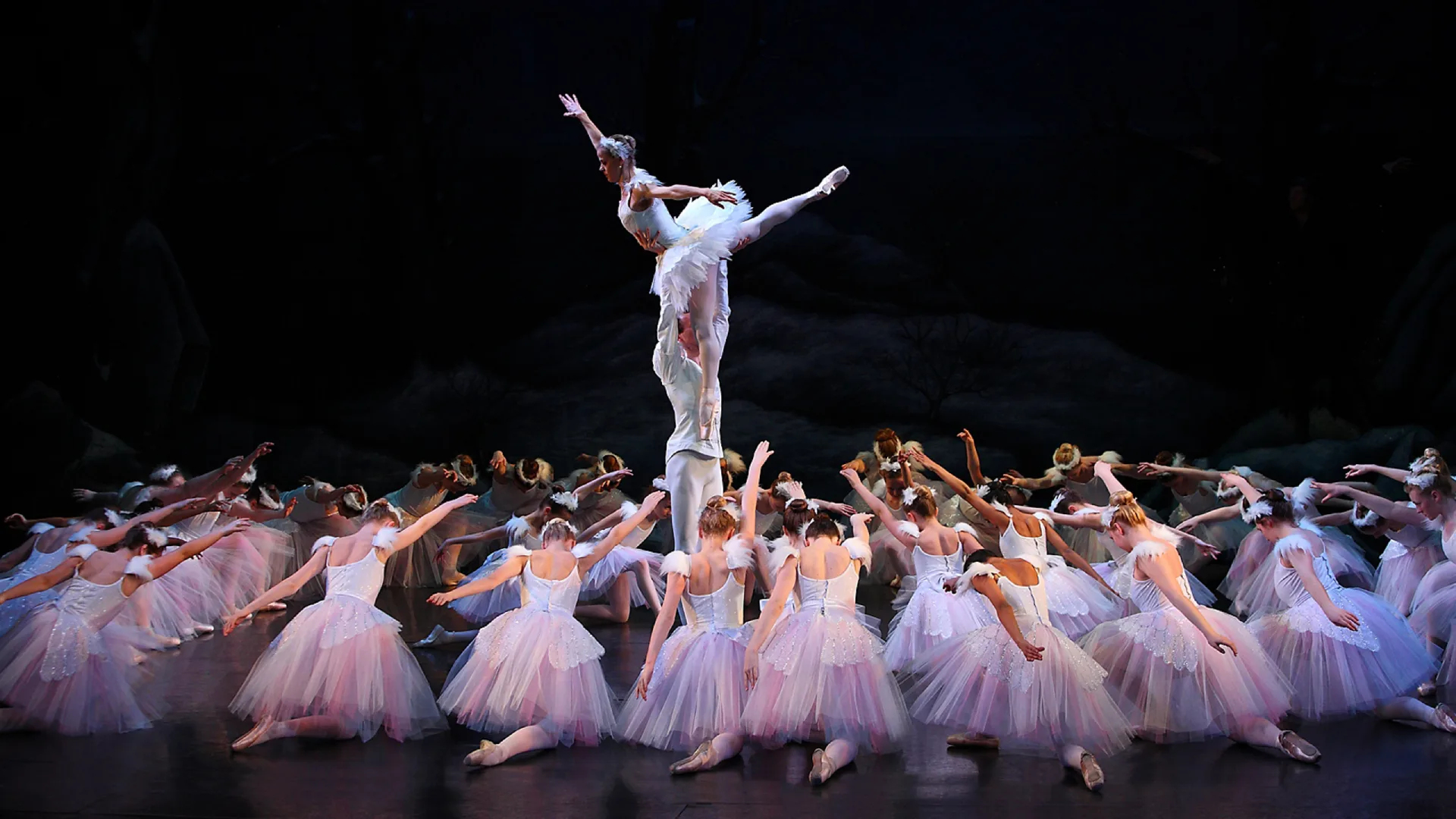English Youth Ballet - Swan Lake