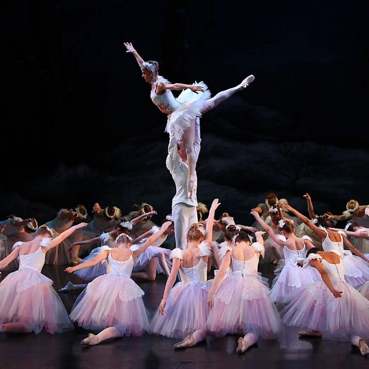 English Youth Ballet - Swan Lake