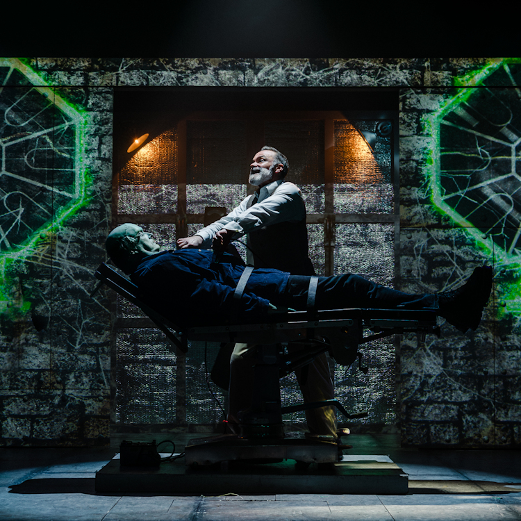 Mel Brooks' Young Frankenstein - The Musical