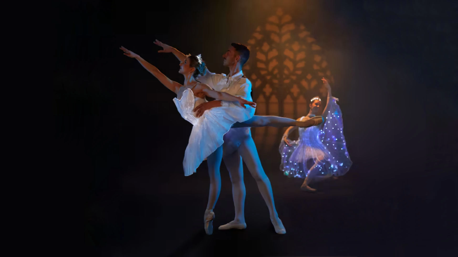 Ballet of Lights - Sleeping Beauty