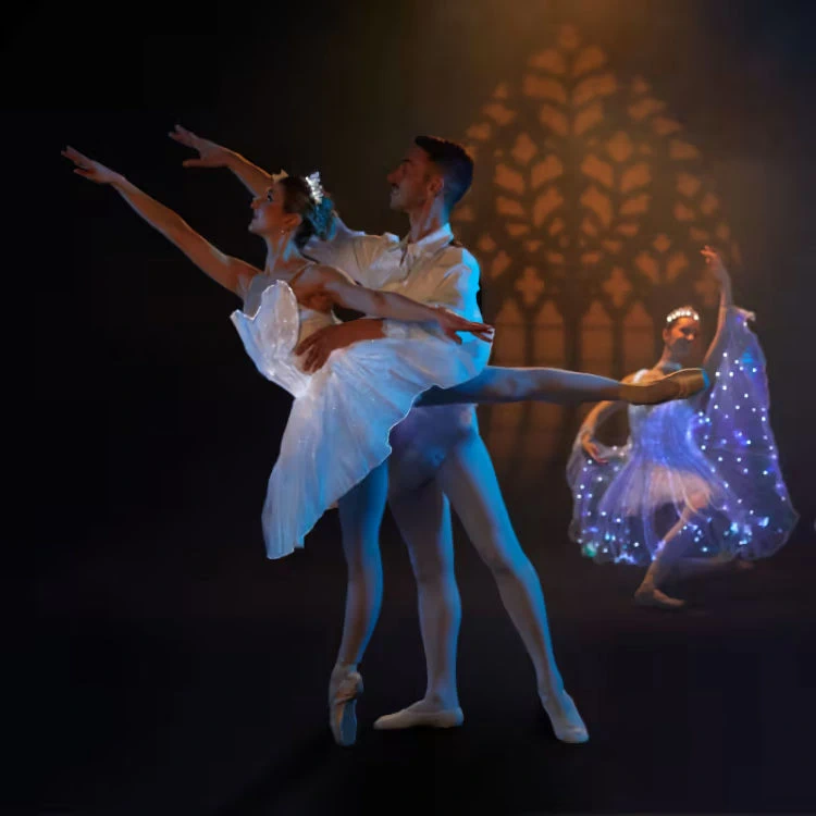 Ballet of Lights - Sleeping Beauty