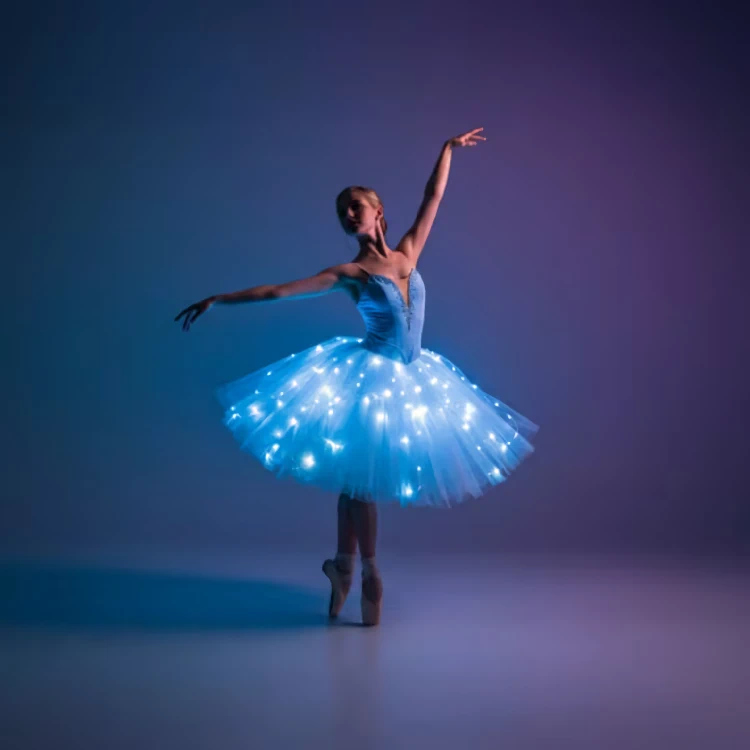 Ballet of Lights - Cinderella