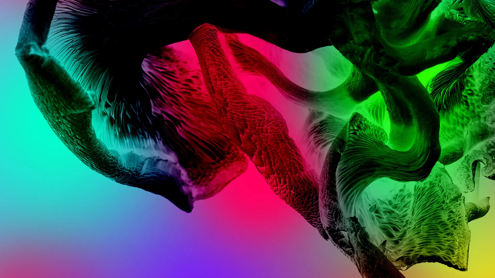 Audio Described exhibition tour of The Guardians of Living Matter