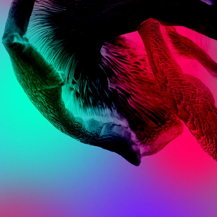 Audio Described exhibition tour of The Guardians of Living Matter