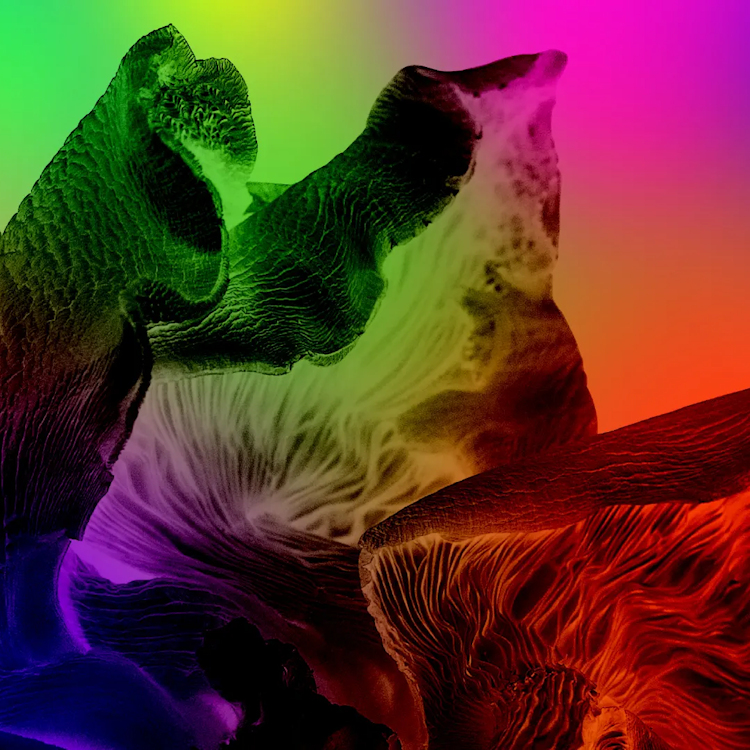 BSL exhibition tour of The Guardians of Living Matter