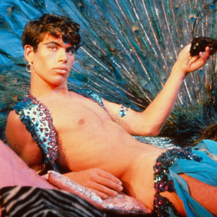 BFI Flare presents: Pink Narcissus (18)