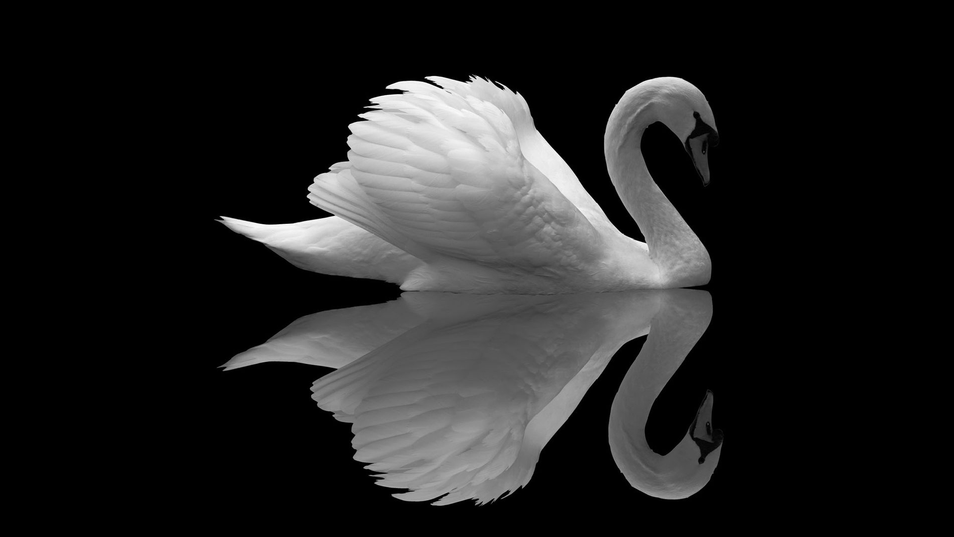 BBC Philharmonic - Four Last Songs