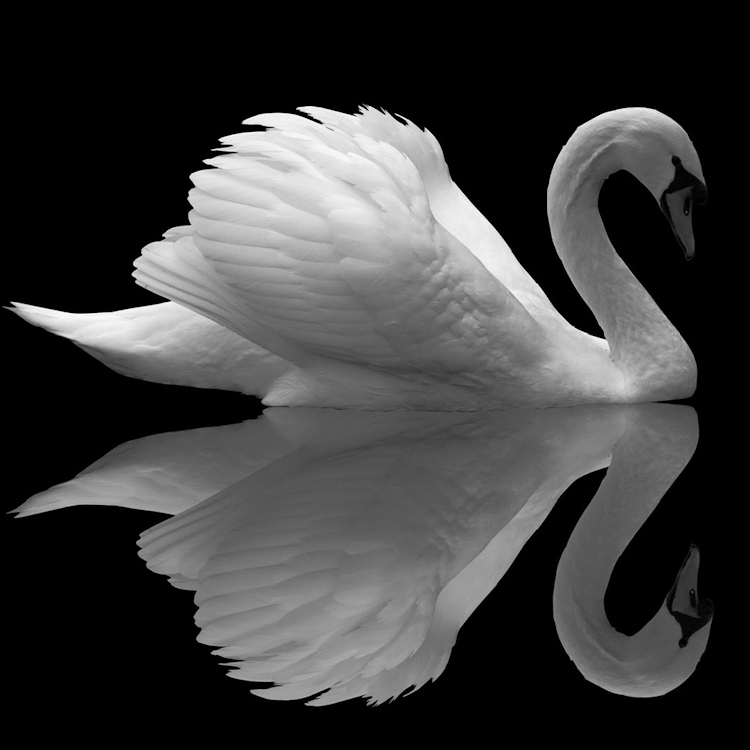 BBC Philharmonic - Four Last Songs